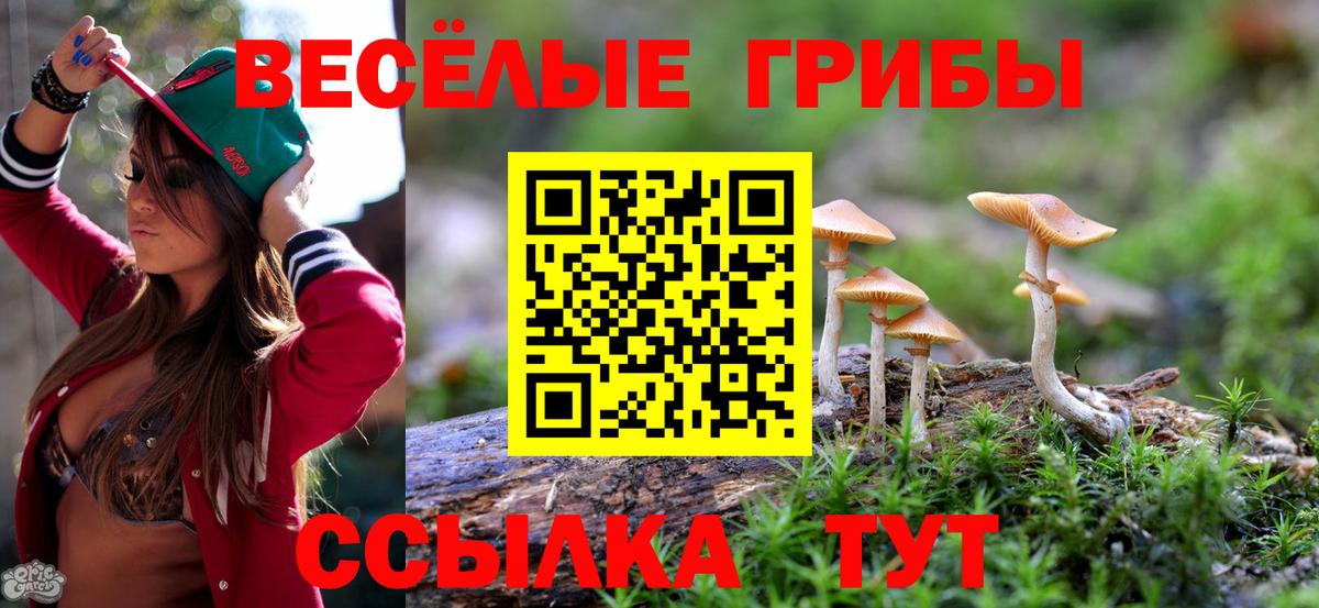 Малгобек  Псилоцибиновые грибы мухоморы  Вход с VPN 