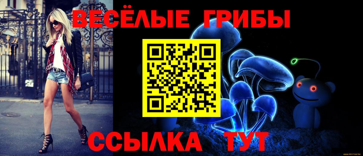 Галлюциногенные грибы прущие грибы Малгобек
